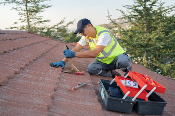 Best Flat Roof Repair Services  in Churchill, MT